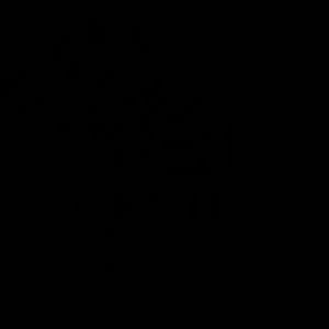 Meet your Posher, Phillip